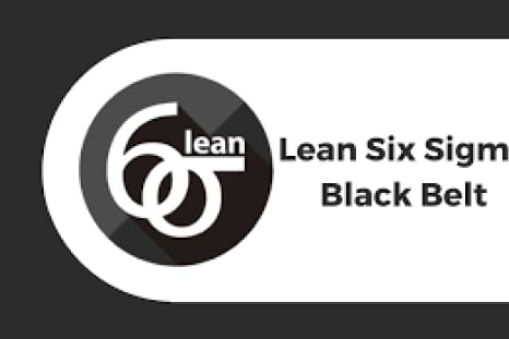 Lean Six Sigma Black Belt Video Course