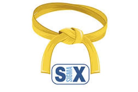 Six Sigma SSYB Six Sigma Yellow Belt